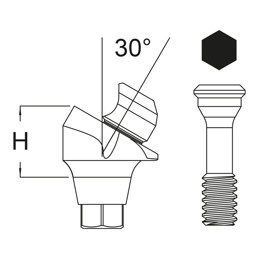 Pilar Angulado 30° + Tornillo Clínico - Conexión Cónica