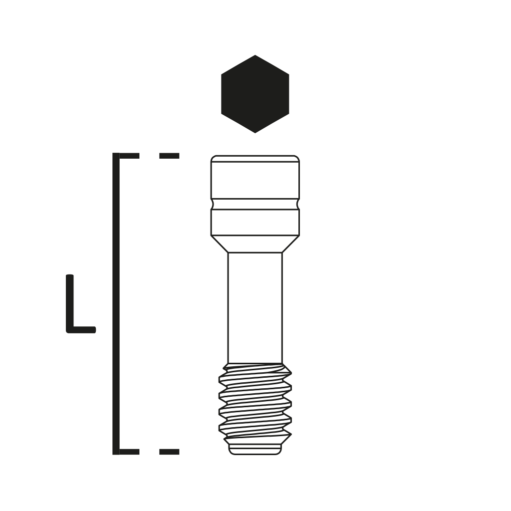 Tornillo Laboratorio - Conexión Interna