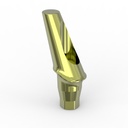 Anatomic 25° Angled abutment + Kiran clinical screw