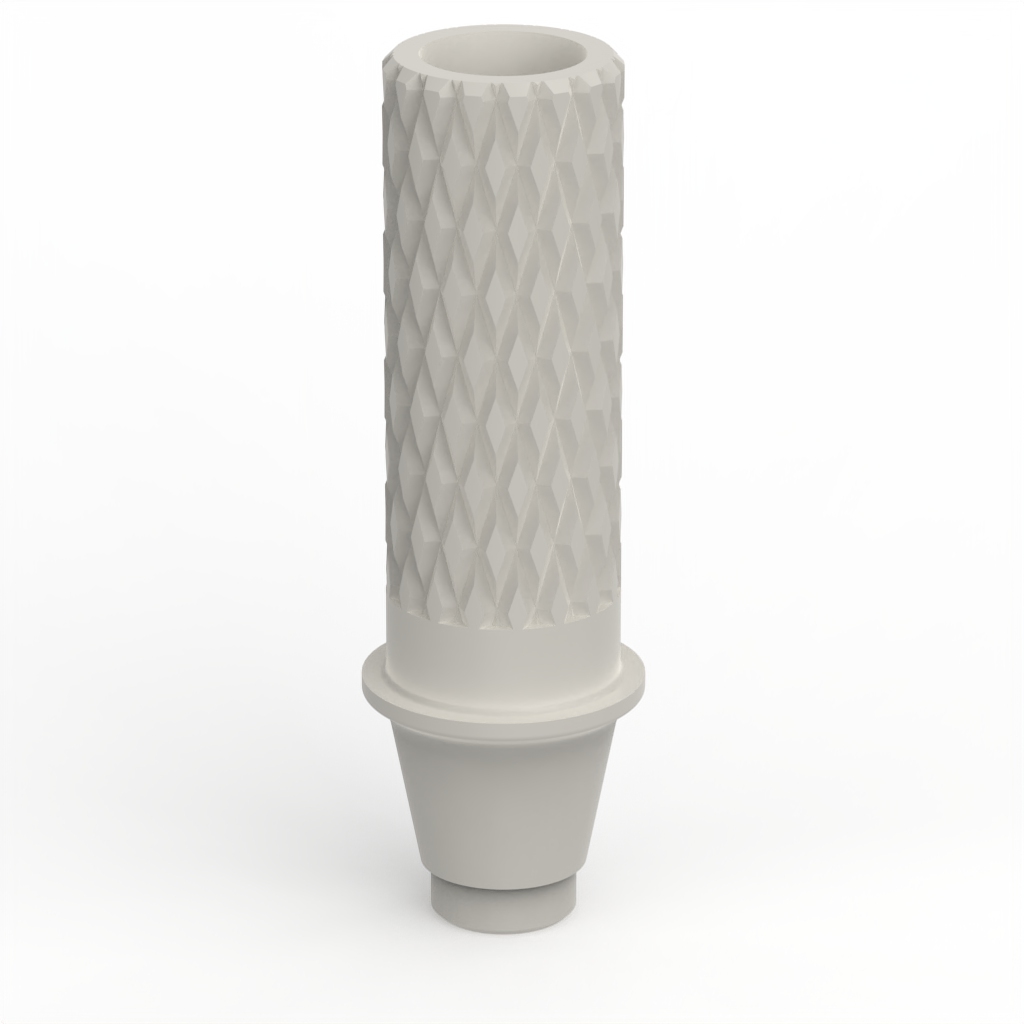 Provisional abutment + clinical screw